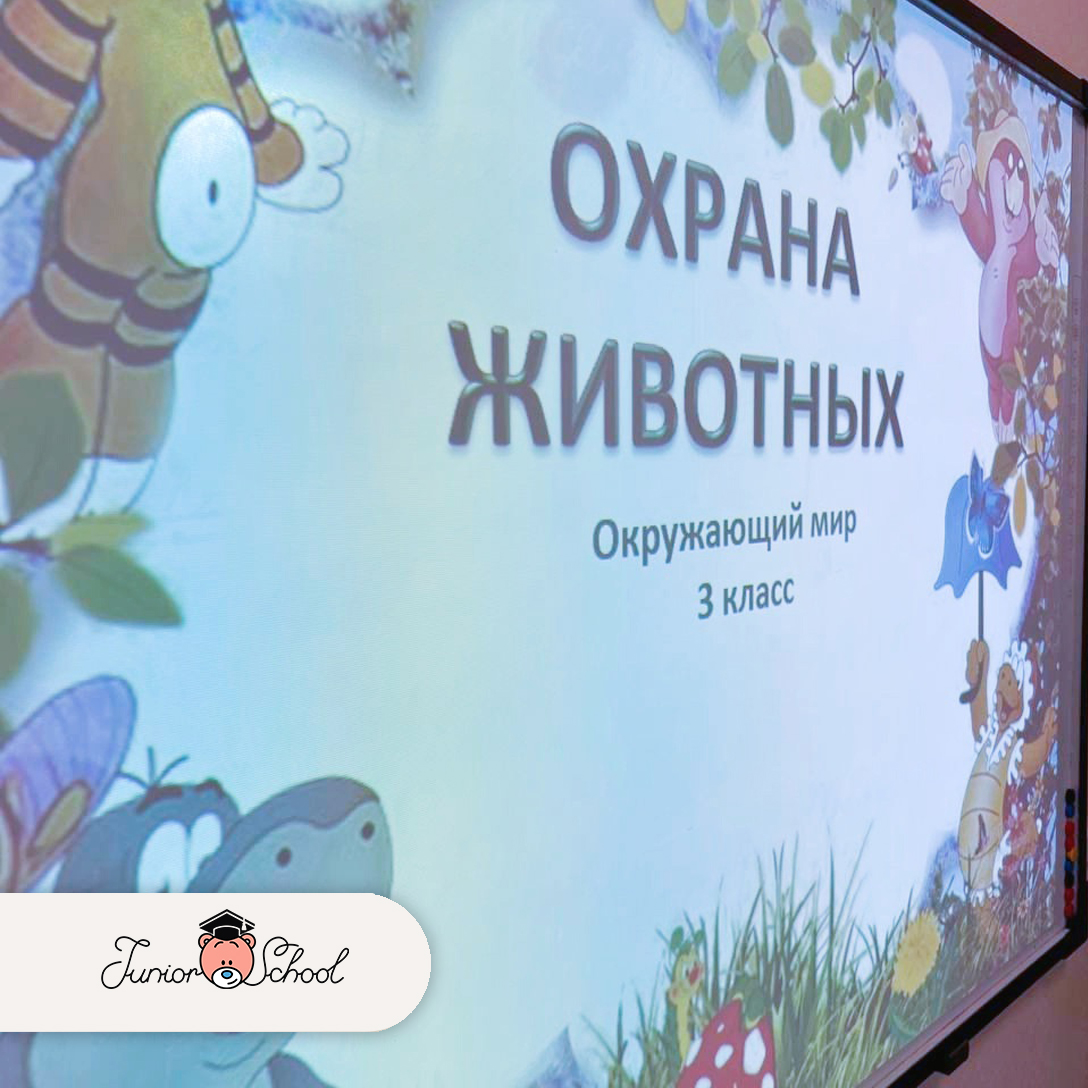 Изучаем экологию: охрана редких животных 